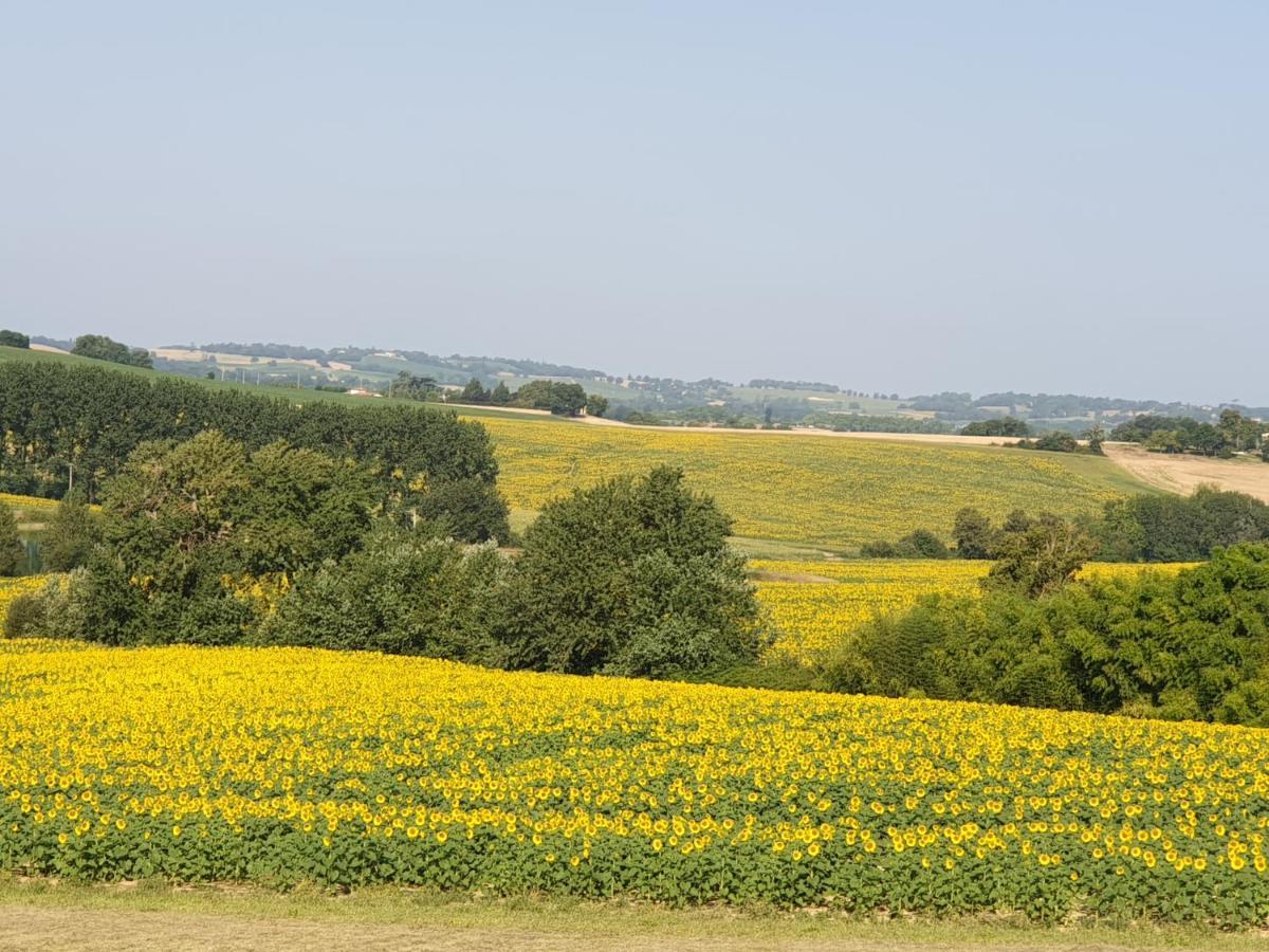 Gite La Halippe Caussens Extérieur photo